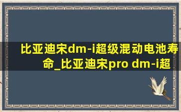 比亚迪宋dm-i超级混动电池寿命_比亚迪宋pro dm-i超级混动